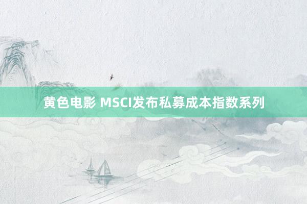 黄色电影 MSCI发布私募成本指数系列