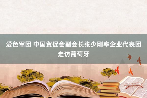 爱色军团 中国贸促会副会长张少刚率企业代表团走访葡萄牙