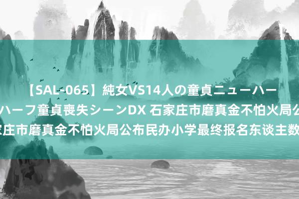 【SAL-065】純女VS14人の童貞ニューハーフ 二度と見れないニューハーフ童貞喪失シーンDX 石家庄市磨真金不怕火局公布民办小学最终报名东谈主数情况