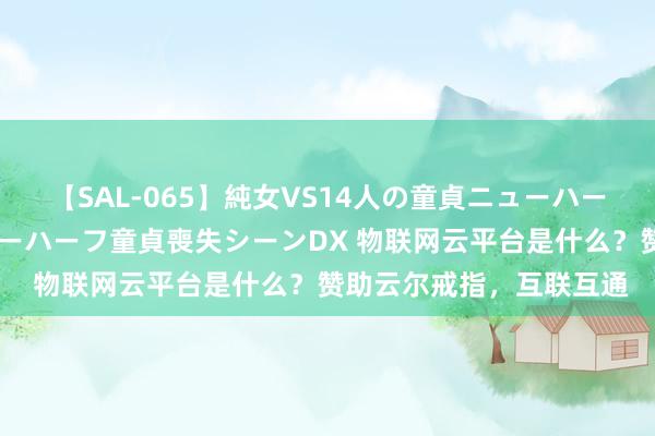 【SAL-065】純女VS14人の童貞ニューハーフ 二度と見れないニューハーフ童貞喪失シーンDX 物联网云平台是什么？赞助云尔戒指，互联互通