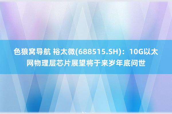 色狼窝导航 裕太微(688515.SH)：10G以太网物理层芯片展望将于来岁年底问世