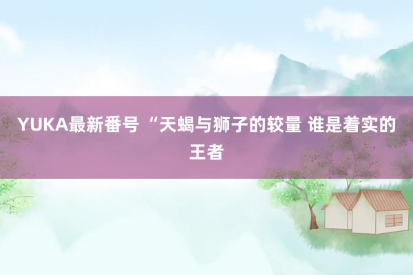 YUKA最新番号 “天蝎与狮子的较量 谁是着实的王者