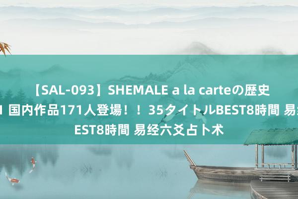 【SAL-093】SHEMALE a la carteの歴史 2008～2011 国内作品171人登場！！35タイトルBEST8時間 易经六爻占卜术