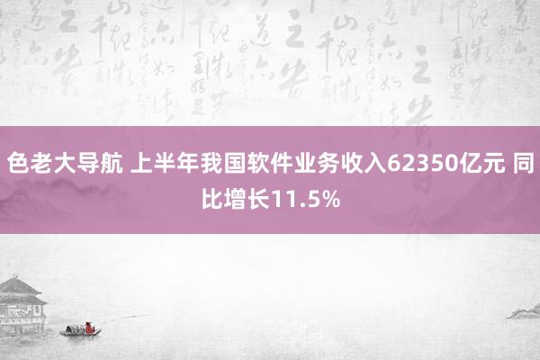 色老大导航 上半年我国软件业务收入62350亿元 同比增长11.5%