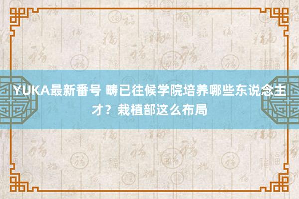 YUKA最新番号 畴已往候学院培养哪些东说念主才？栽植部这么布局