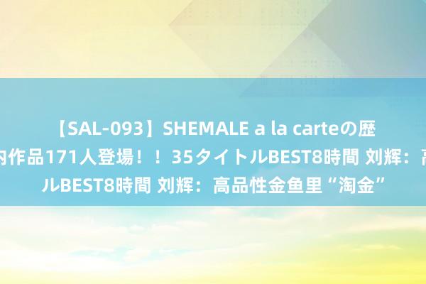 【SAL-093】SHEMALE a la carteの歴史 2008～2011 国内作品171人登場！！35タイトルBEST8時間 刘辉：高品性金鱼里“淘金”