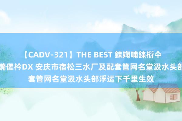 【CADV-321】THE BEST 銇婅哺銇椼仐銇俱仚銆?50浜?鏅傞枔DX 安庆市宿松三水厂及配套管网名堂汲水头部浮运下千里生效