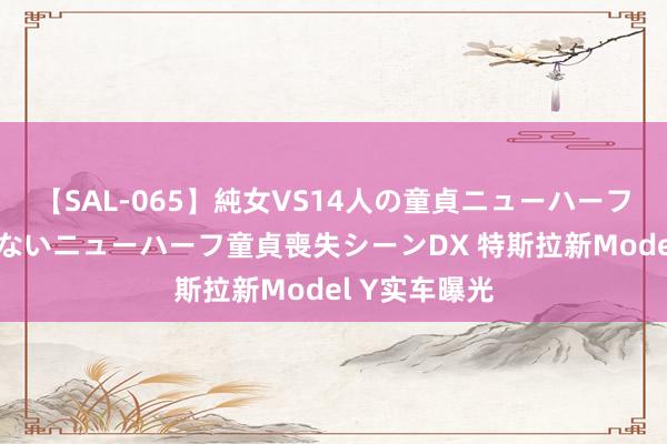 【SAL-065】純女VS14人の童貞ニューハーフ 二度と見れないニューハーフ童貞喪失シーンDX 特斯拉新Model Y实车曝光