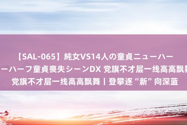 【SAL-065】純女VS14人の童貞ニューハーフ 二度と見れないニューハーフ童貞喪失シーンDX 党旗不才层一线高高飘舞丨登攀逐“新”向深蓝