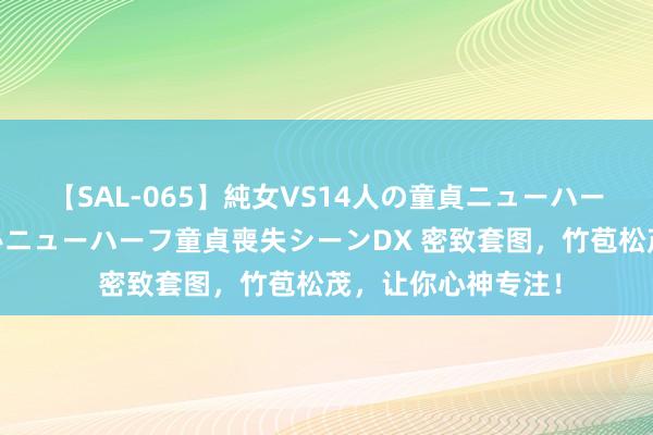 【SAL-065】純女VS14人の童貞ニューハーフ 二度と見れないニューハーフ童貞喪失シーンDX 密致套图，竹苞松茂，让你心神专注！