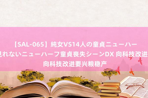 【SAL-065】純女VS14人の童貞ニューハーフ 二度と見れないニューハーフ童貞喪失シーンDX 向科技改进要兴粮稳产