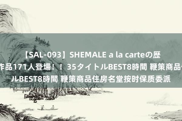 【SAL-093】SHEMALE a la carteの歴史 2008～2011 国内作品171人登場！！35タイトルBEST8時間 鞭策商品住房名堂按时保质委派