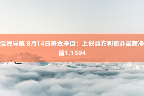 淫民导航 8月14日基金净值：上银慧鑫利债券最新净值1.1594