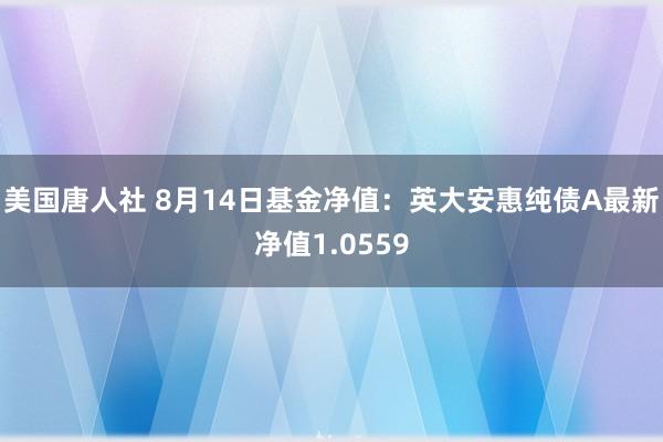 美国唐人社 8月14日基金净值：英大安惠纯债A最新净值1.0559