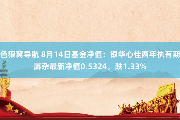 色狼窝导航 8月14日基金净值：银华心佳两年执有期羼杂最新净值0.5324，跌1.33%