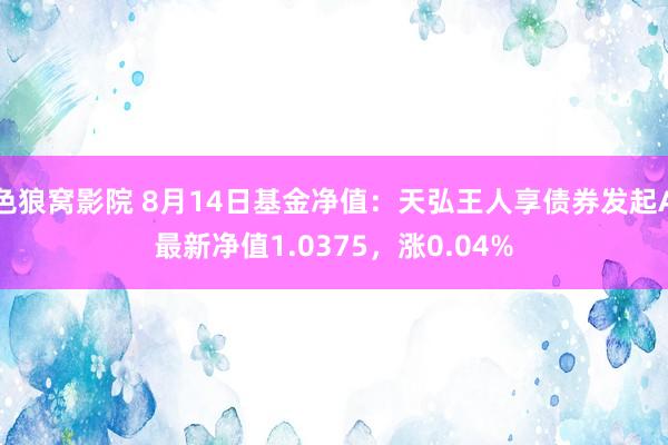 色狼窝影院 8月14日基金净值：天弘王人享债券发起A最新净值1.0375，涨0.04%