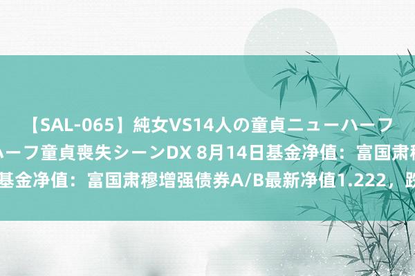 【SAL-065】純女VS14人の童貞ニューハーフ 二度と見れないニューハーフ童貞喪失シーンDX 8月14日基金净值：富国肃穆增强债券A/B最新净值1.222，跌0.24%