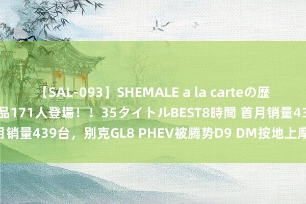 【SAL-093】SHEMALE a la carteの歴史 2008～2011 国内作品171人登場！！35タイトルBEST8時間 首月销量439台，别克GL8 PHEV被腾势D9 DM按地上摩擦，因为来晚了？