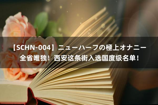 【SCHN-004】ニューハーフの極上オナニー 全省唯独！西安这条街入选国度级名单！