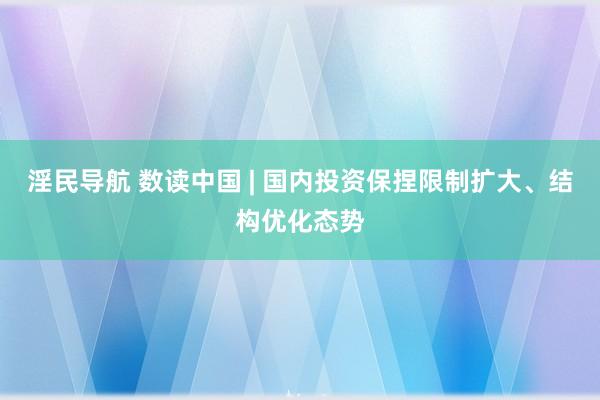 淫民导航 数读中国 | 国内投资保捏限制扩大、结构优化态势