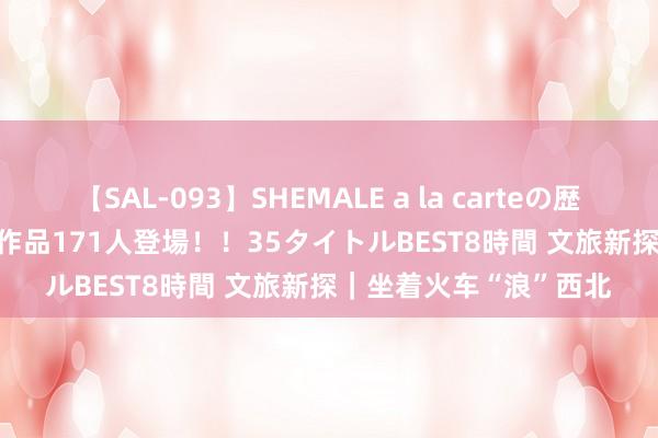 【SAL-093】SHEMALE a la carteの歴史 2008～2011 国内作品171人登場！！35タイトルBEST8時間 文旅新探｜坐着火车“浪”西北