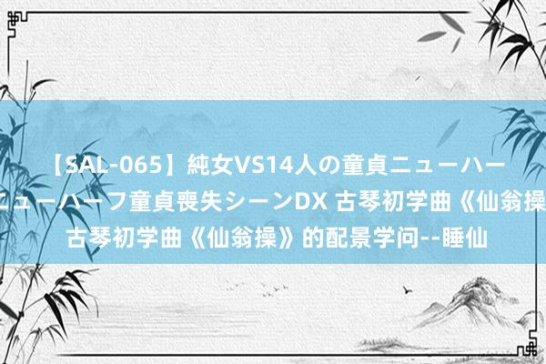 【SAL-065】純女VS14人の童貞ニューハーフ 二度と見れないニューハーフ童貞喪失シーンDX 古琴初学曲《仙翁操》的配景学问--睡仙