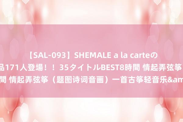 【SAL-093】SHEMALE a la carteの歴史 2008～2011 国内作品171人登場！！35タイトルBEST8時間 情起弄弦筝（题图诗词音画）一首古筝轻音乐&#183;犬子情