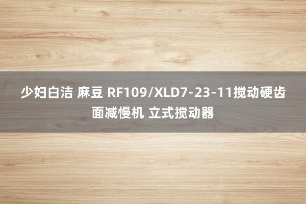 少妇白洁 麻豆 RF109/XLD7-23-11搅动硬齿面减慢机 立式搅动器