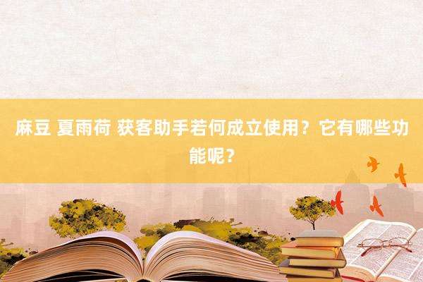 麻豆 夏雨荷 获客助手若何成立使用？它有哪些功能呢？