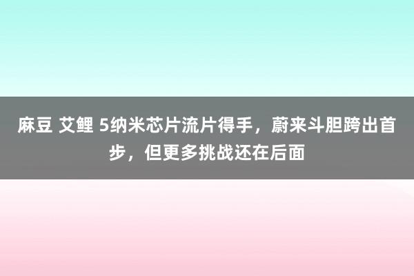 麻豆 艾鲤 5纳米芯片流片得手，蔚来斗胆跨出首步，但更多挑战还在后面