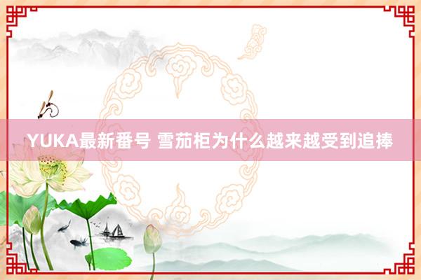 YUKA最新番号 雪茄柜为什么越来越受到追捧