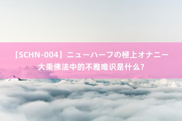 【SCHN-004】ニューハーフの極上オナニー 大乘佛法中的不雅唯识是什么？