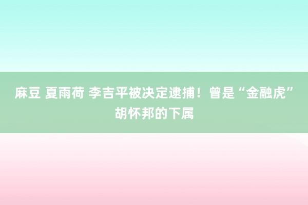 麻豆 夏雨荷 李吉平被决定逮捕！曾是“金融虎”胡怀邦的下属