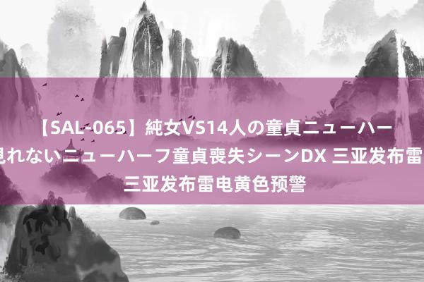 【SAL-065】純女VS14人の童貞ニューハーフ 二度と見れないニューハーフ童貞喪失シーンDX 三亚发布雷电黄色预警