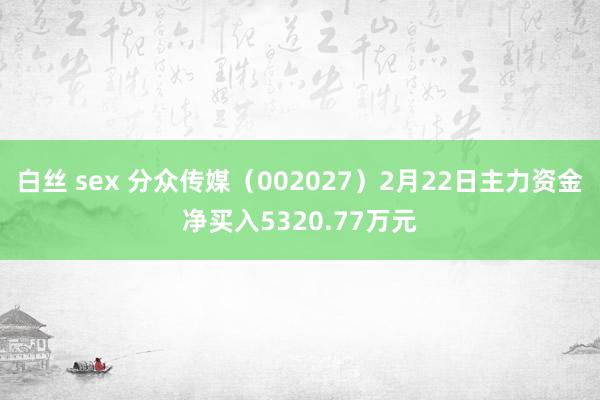 白丝 sex 分众传媒（002027）2月22日主力资金净买入5320.77万元